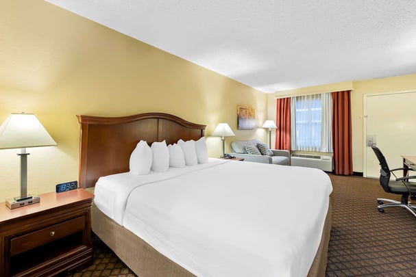 King Sofa Sleeper One