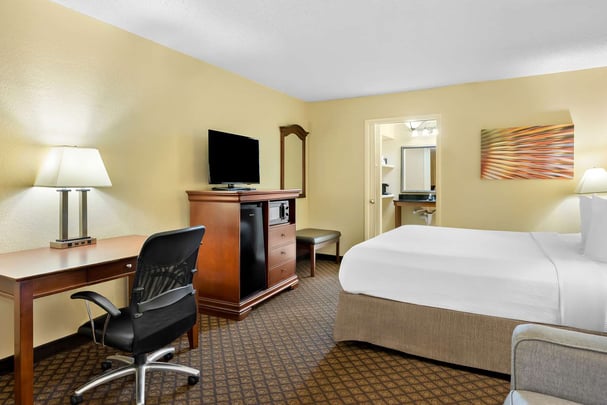 King Sofa Sleeper One