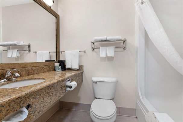 King Jacuzzi Bathroom