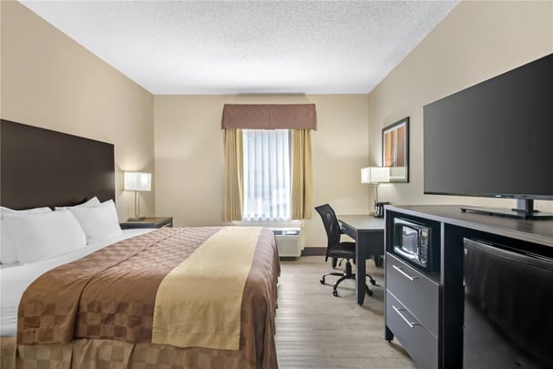 Pet Friendly One King Guest Room