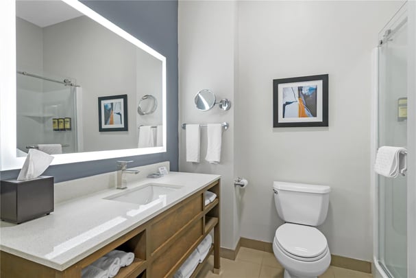 BW Washington MI Room