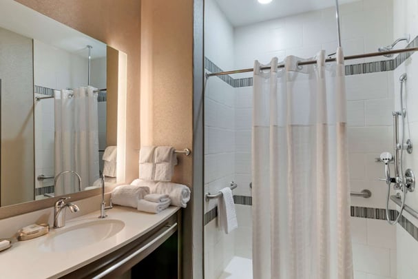 King Suite Mobility Accessible Bathroom