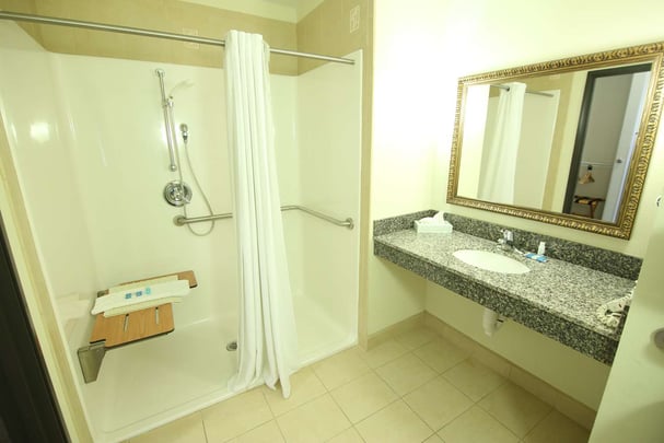 Mobility Accessible Guest Bathroom