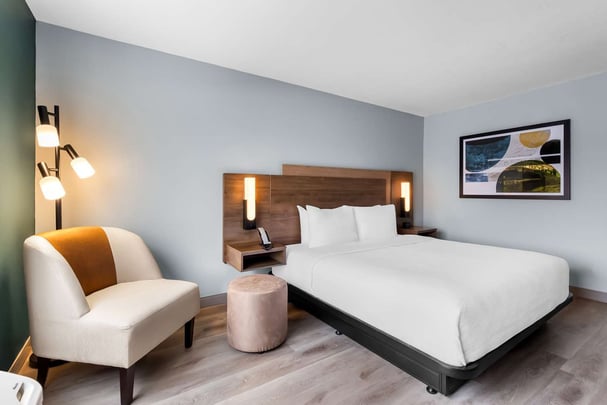 Mobility Accessible King Guestroom