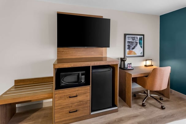 Larger King Guestroom