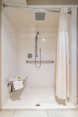 King Handicap Shower