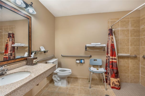 ADA King Bathroom w/ Roll-in Shower