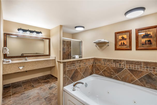 King Suite w/ Sofabed Bathroom