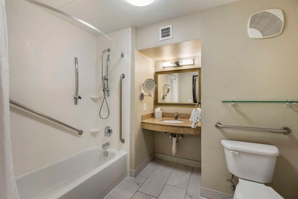 Accessible Shower