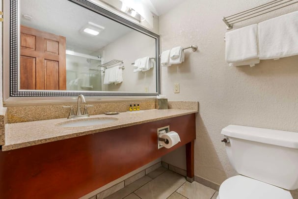 South Tower Standard Bathroom