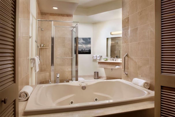 Tower Suite Guest Room Bath