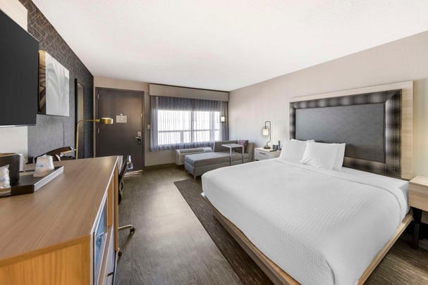 Guest Room King Stnd