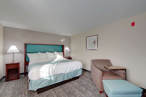 Standard King Guest Room