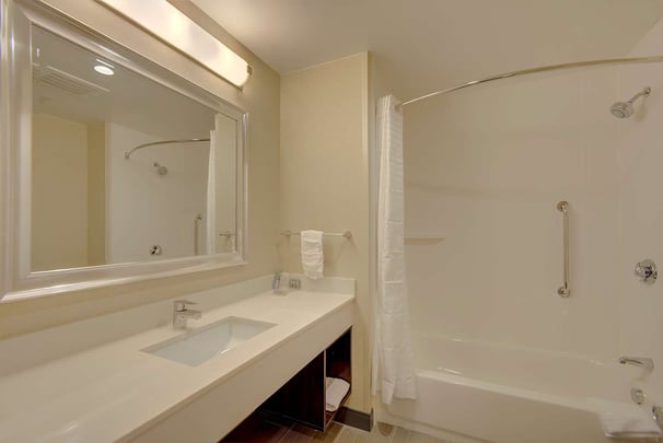 Double Queen Sofabed Guest Bathroom