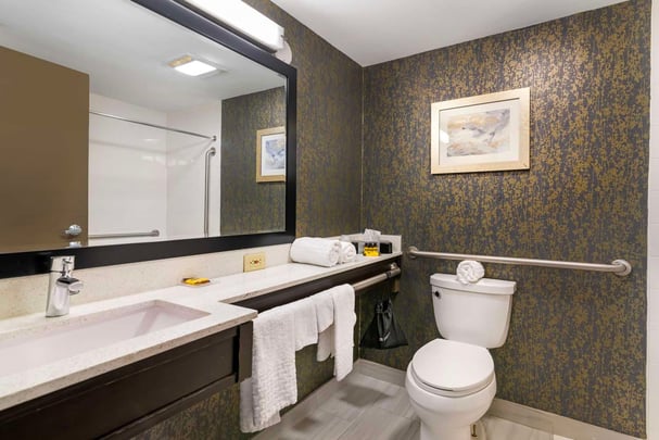 Guest Bathroom Accessible