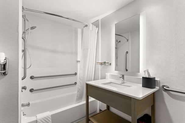 Accessible Queen Bathroom