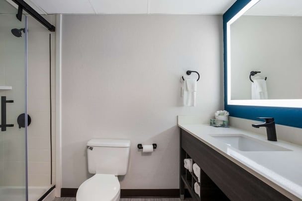 Suite Bathroom