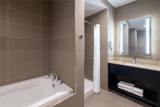 Deluxe King Suite Room New Type Bathroom