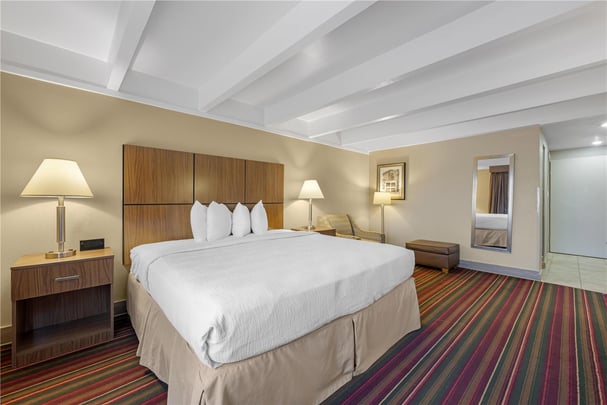 ADA - 1 King Bed w/ Roll In Shower