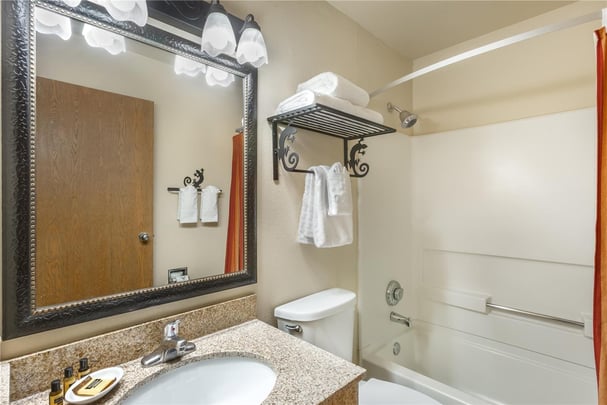 1 King Bed with Living Room