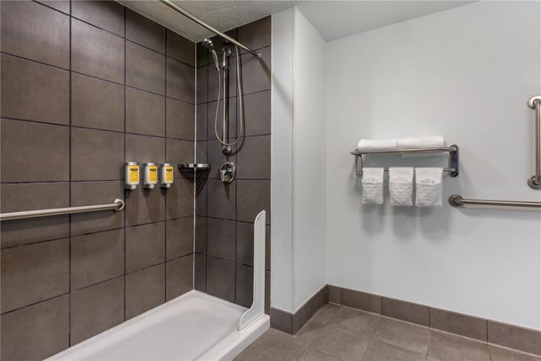 Suite - ADA King Bed