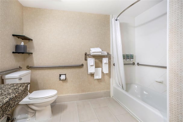 Accessible King Suite