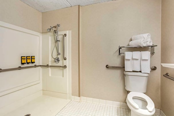 Accessible King Roll In Bathroom