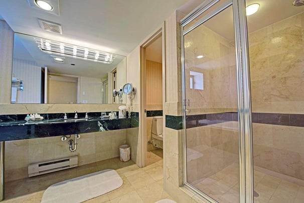 Guest Bathroom Shower