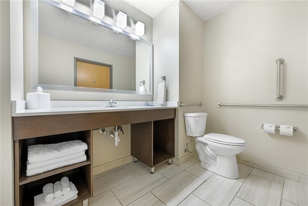 Accessible King Suite