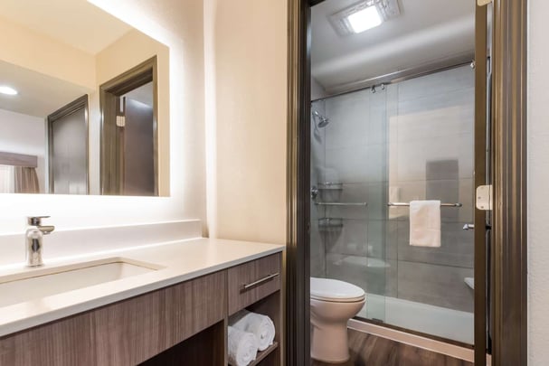 Guest Suite Bathroom