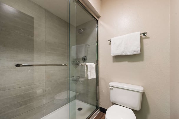 Mobility Accessible King Suite Bathroom