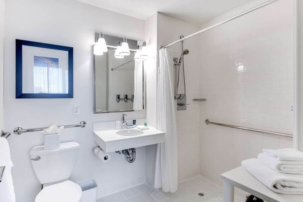 Accessible King Guest Bathroom