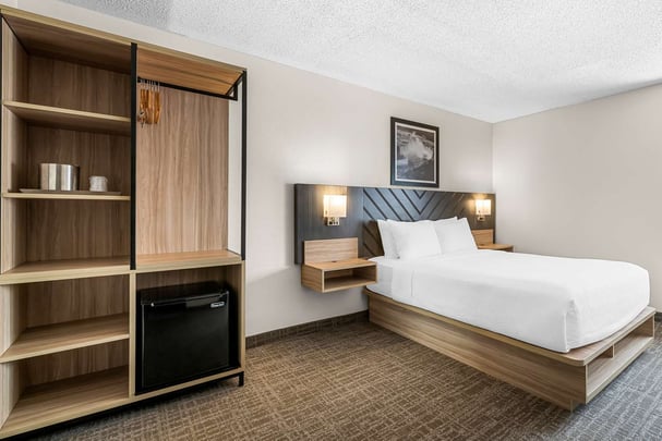 1 Queen Junior Suite