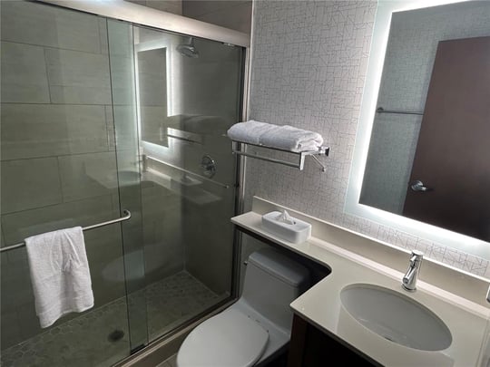 Guest Bathroom with Walk-In-Shower