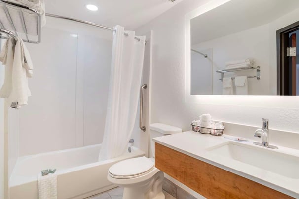 King w/ Sofa Bath (S)