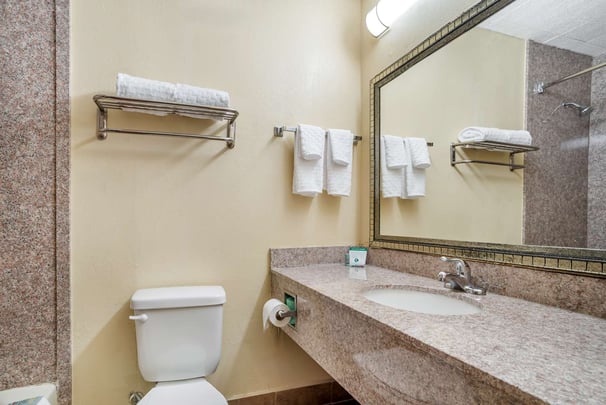 King Guest Bathroom
