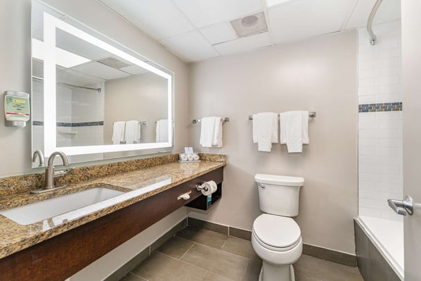 Guest Room Suite King