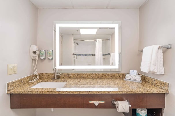 Guest Room Suite King