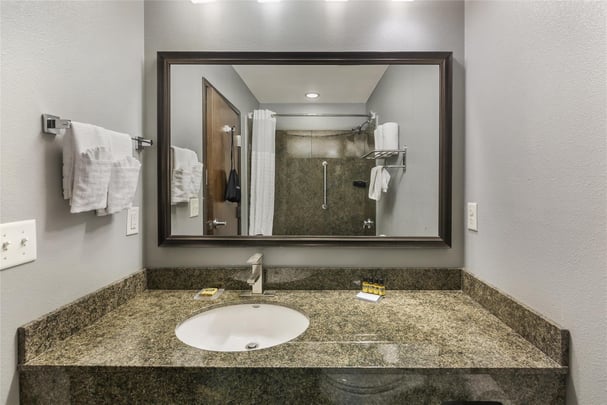 King Suite Kitchenette