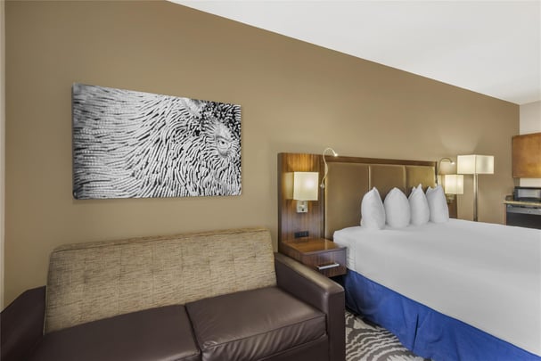 Accessible King Suite