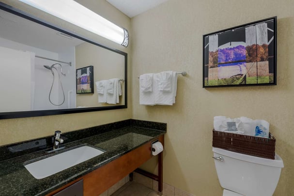 Guest Bathroom