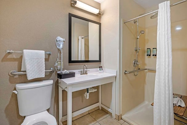 Accessible King Bathroom