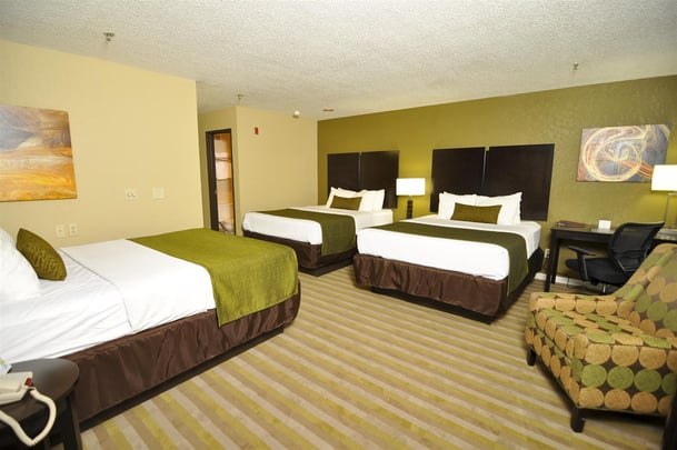 Three Queen Guest Room
