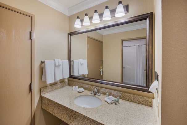 Suite Bathroom