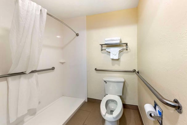 ADA Walk-In Shower