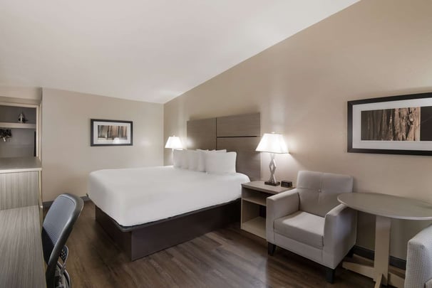 Single King PetFriendly