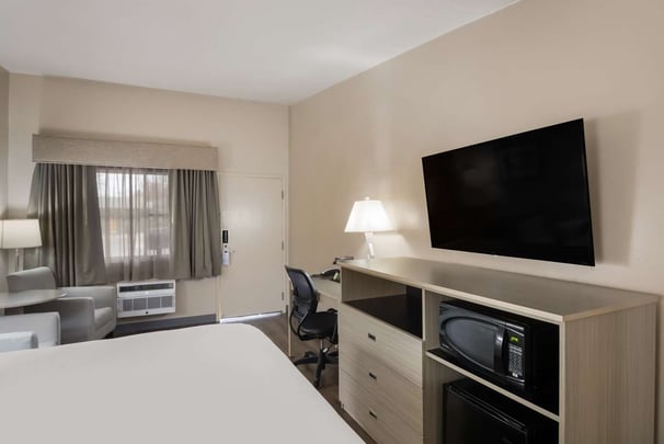 Single King PetFriendly