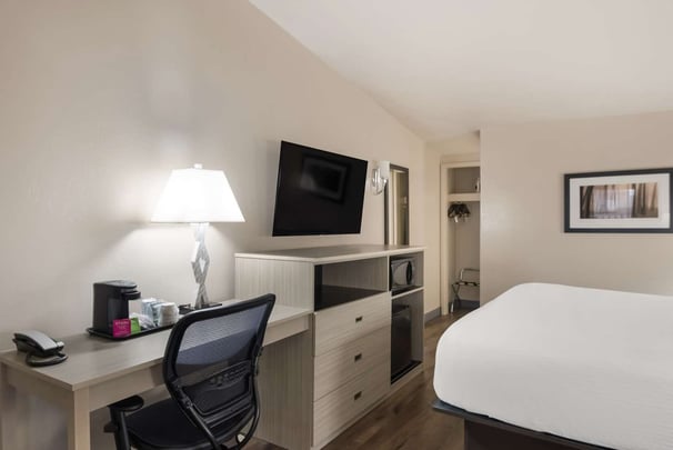 Single King PetFriendly