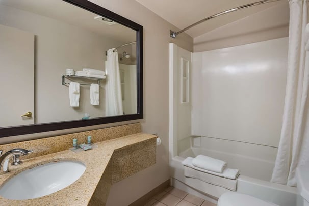 Single King PetFriendly