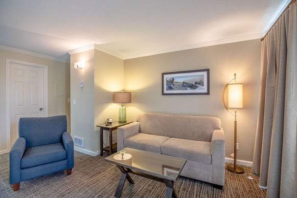 Suite Couch Area